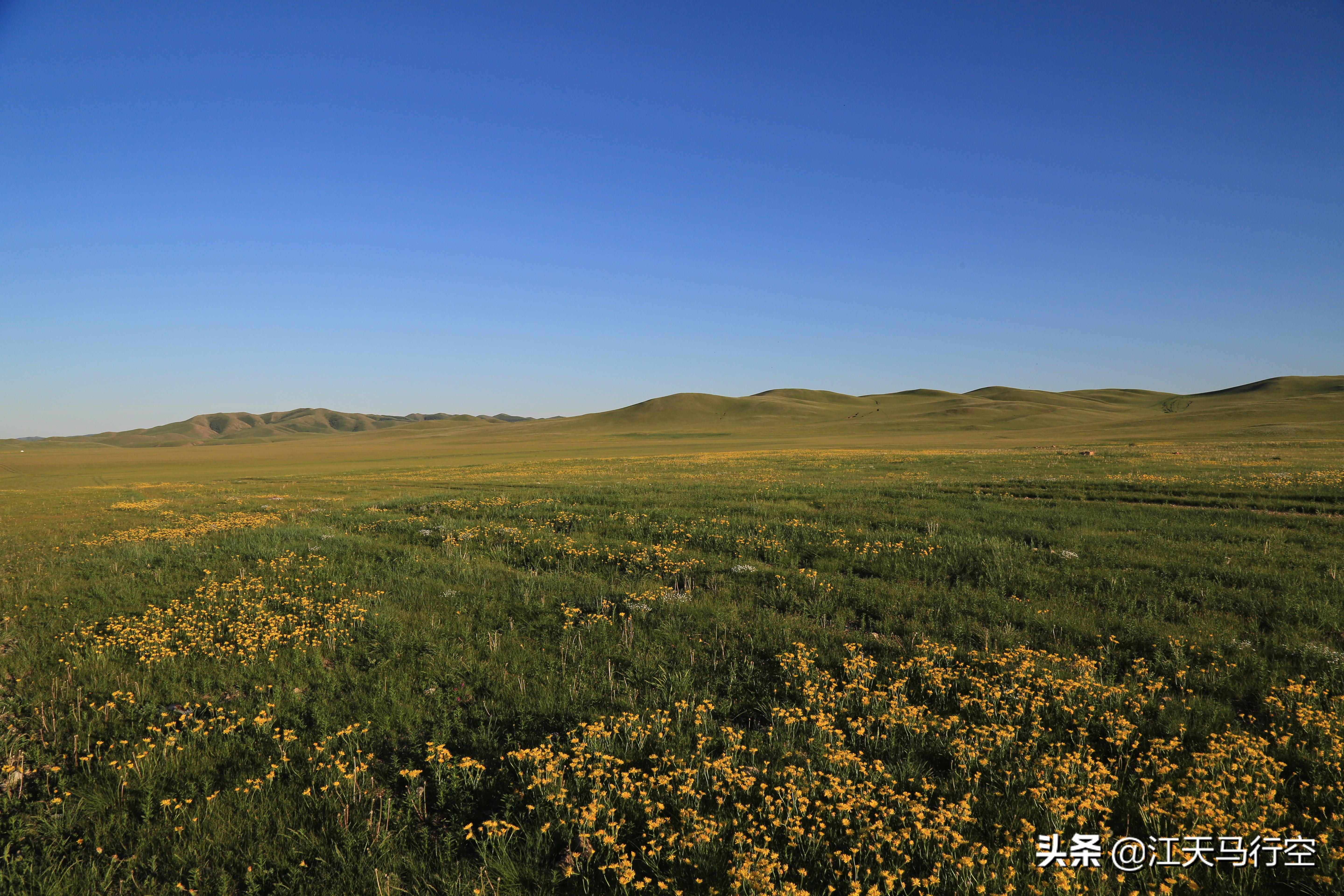 内蒙古草原与国家公园,内蒙古的草原自然公园