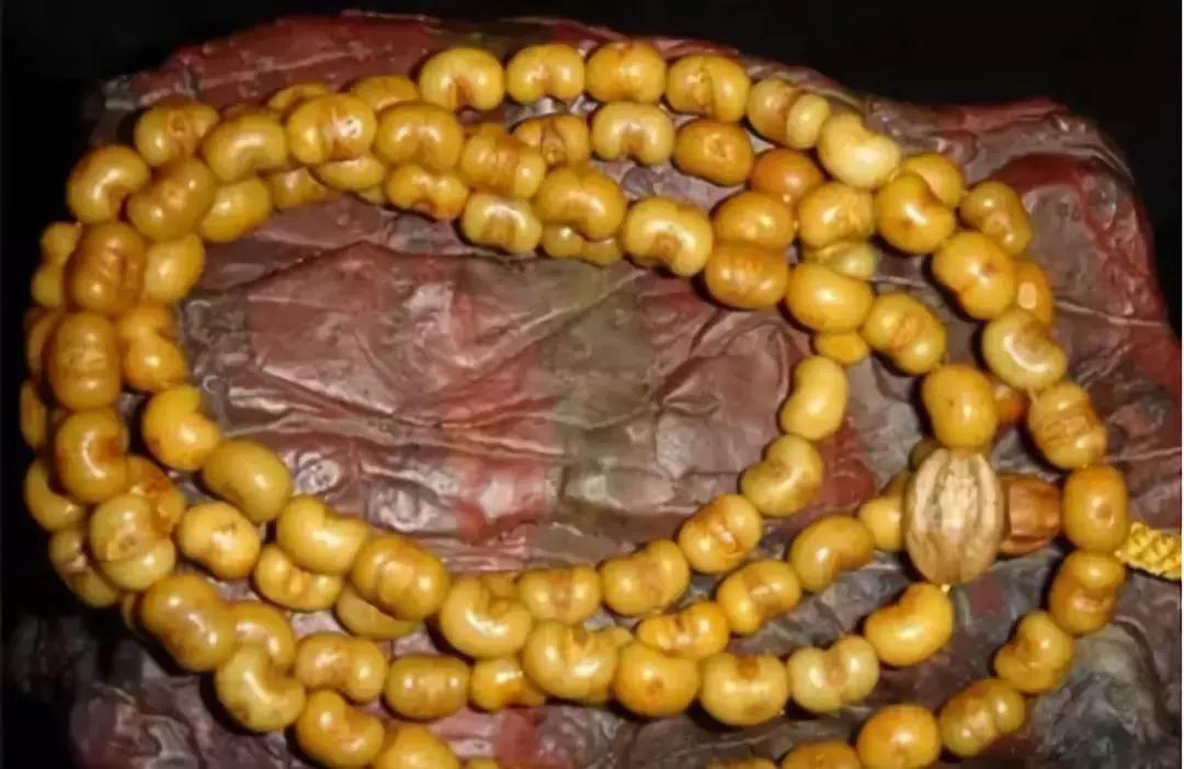 最全的菩提子图解太美了,最好的菩提子