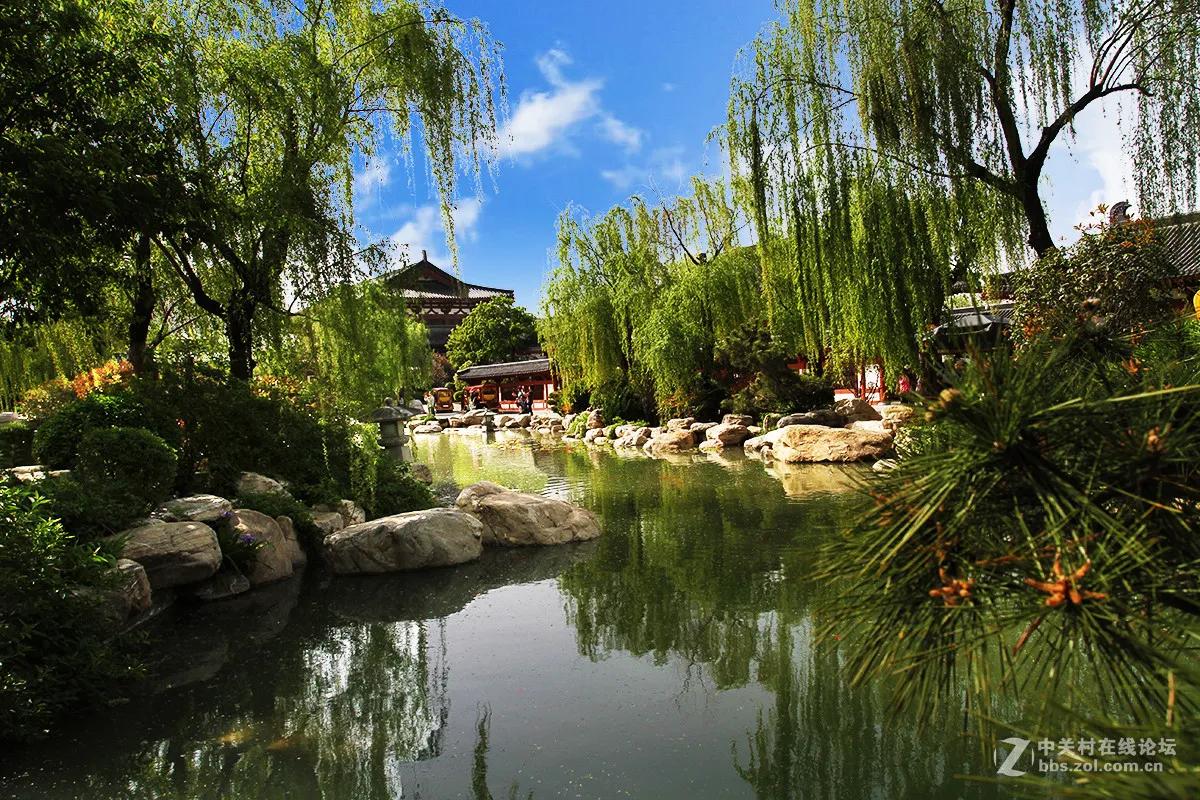 妃子笑，笑看长安