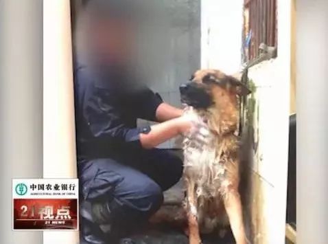 远离渣男的案例,远离渣男的真实原因