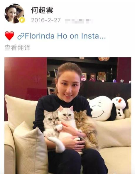 赌王三太陈婉珍怎么上位的,赌王三太陈婉珍是保姆吗