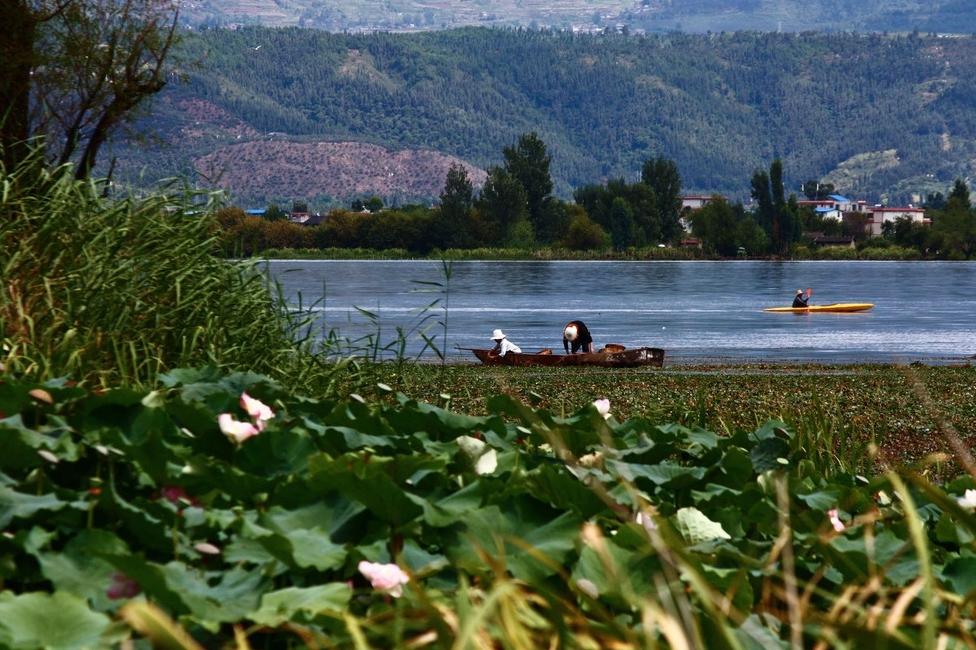 西昌邛海湿地全国排名,西昌邛海湿地