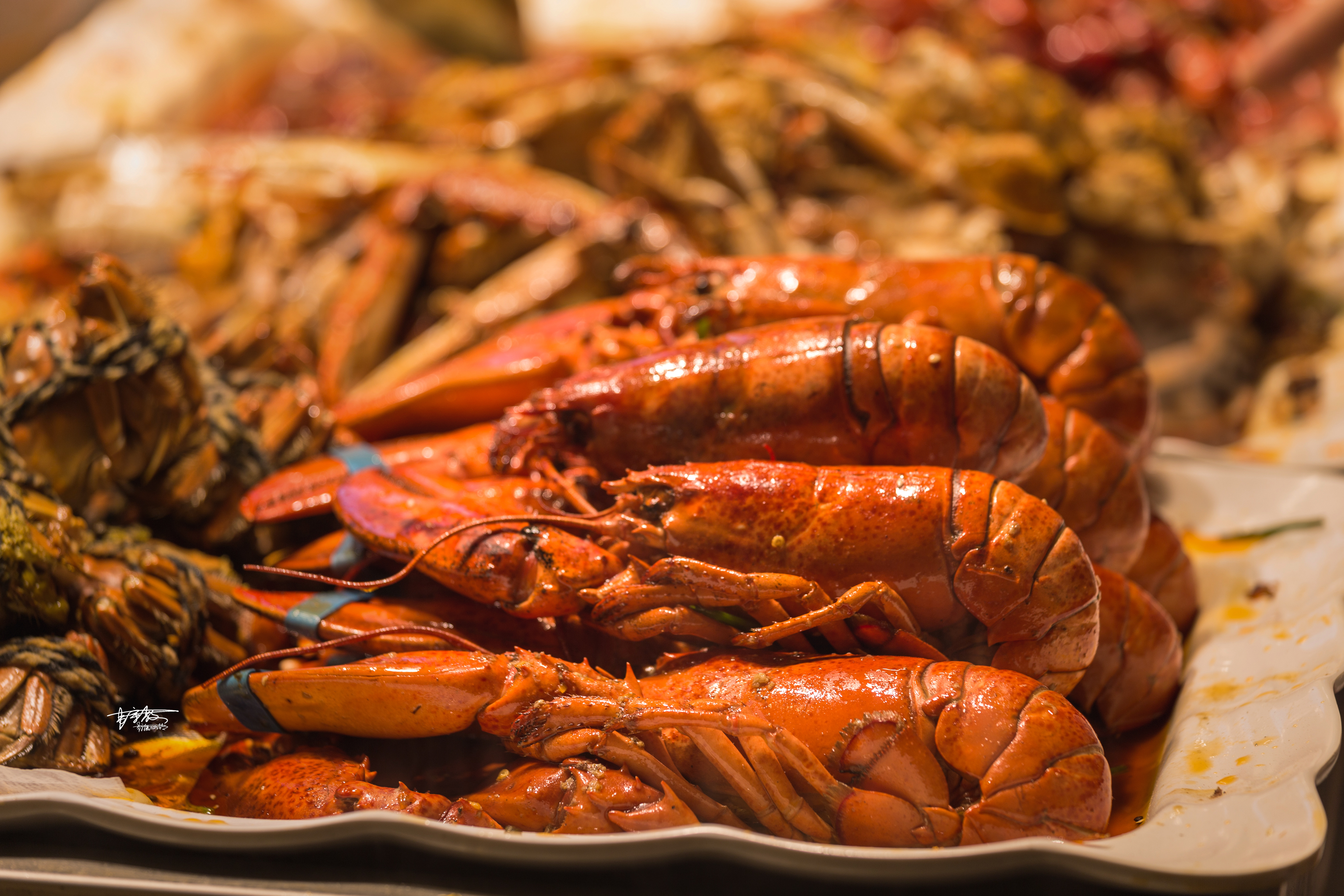 没有一只鸭子能活着离开南京图片,没有一只鸭子能活着走出重庆