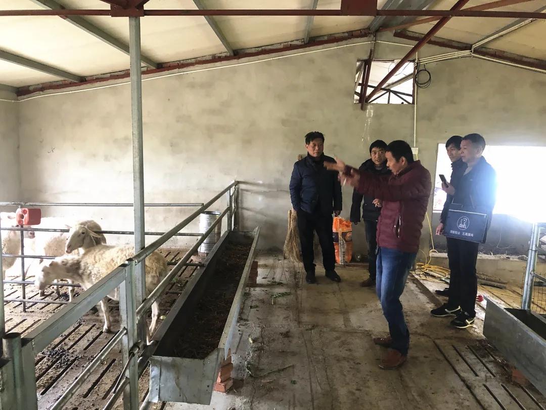 枣阳市创建乡村振兴示范县,襄州区乡村振兴扶贫工程