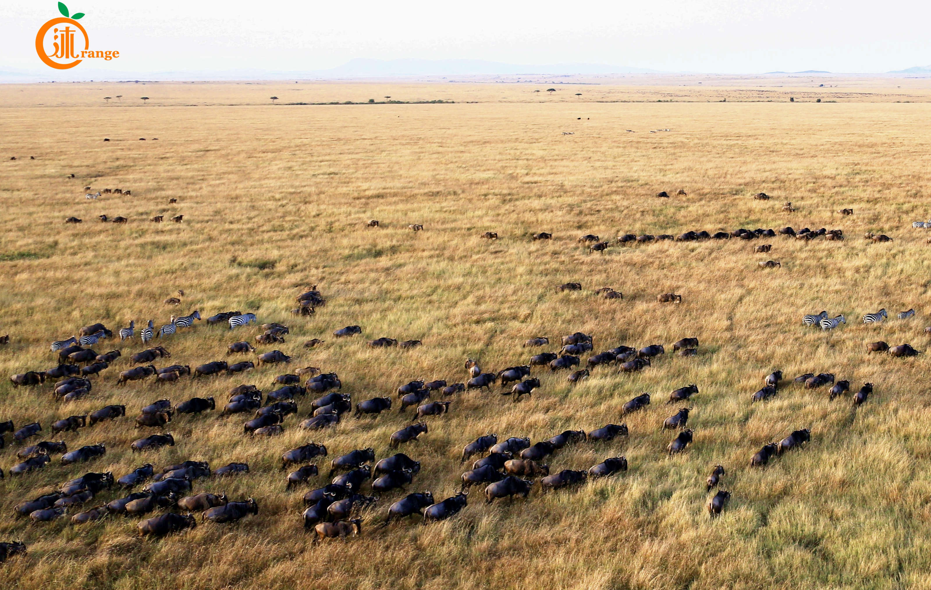 世界上最贵热气球多少钱一个,世界上最贵的热气球多少块钱