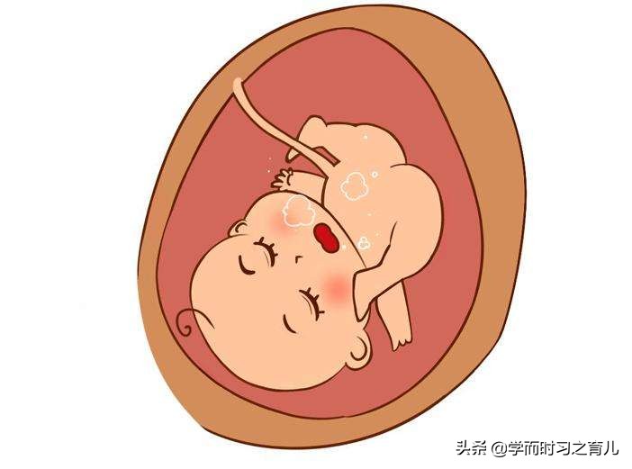 孕期要警惕4种异常胎动,孕妇胎动频繁要注意哪些