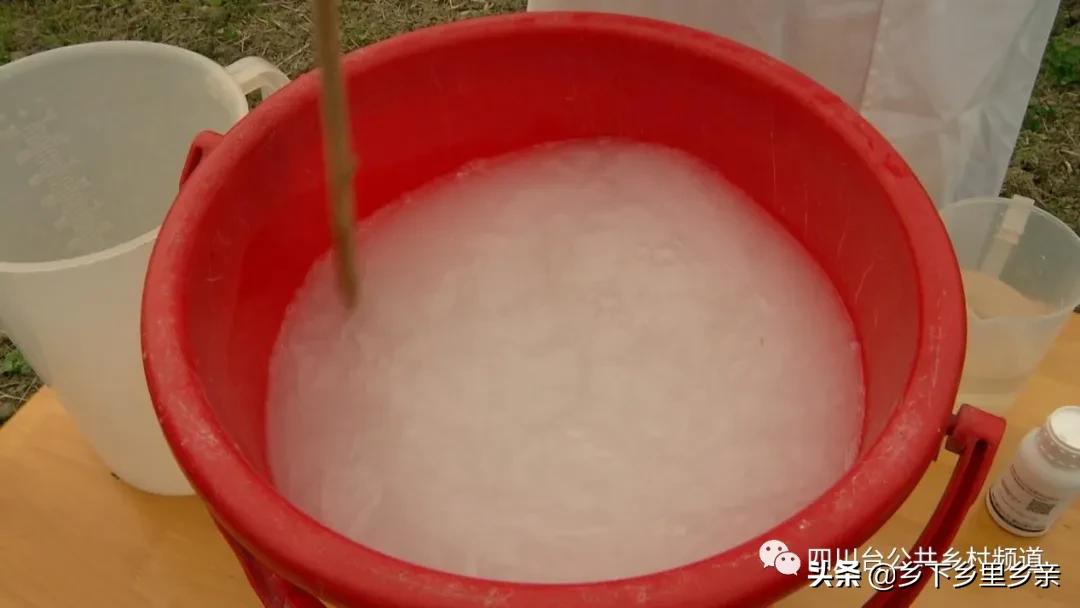 油菜得了病用什么药,油菜生病了怎么防治