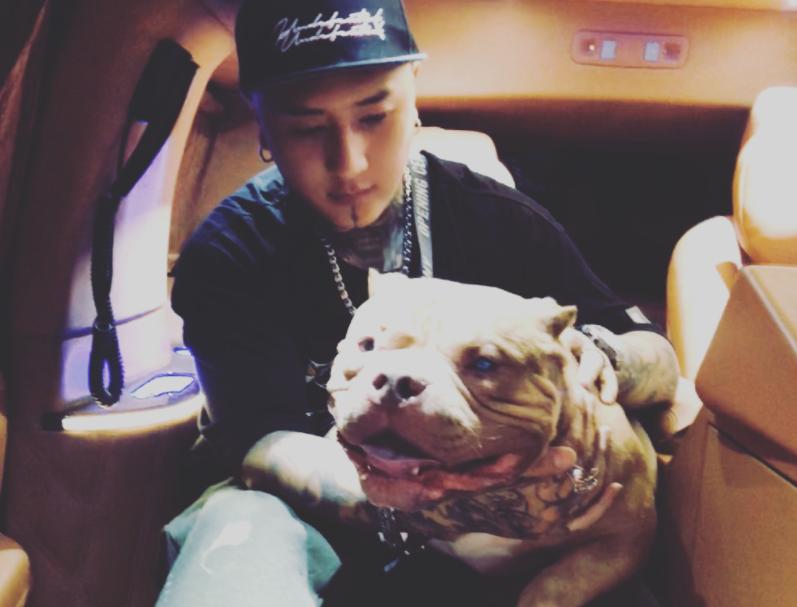 二驴散打哥pk方丈,二驴方丈散打哥