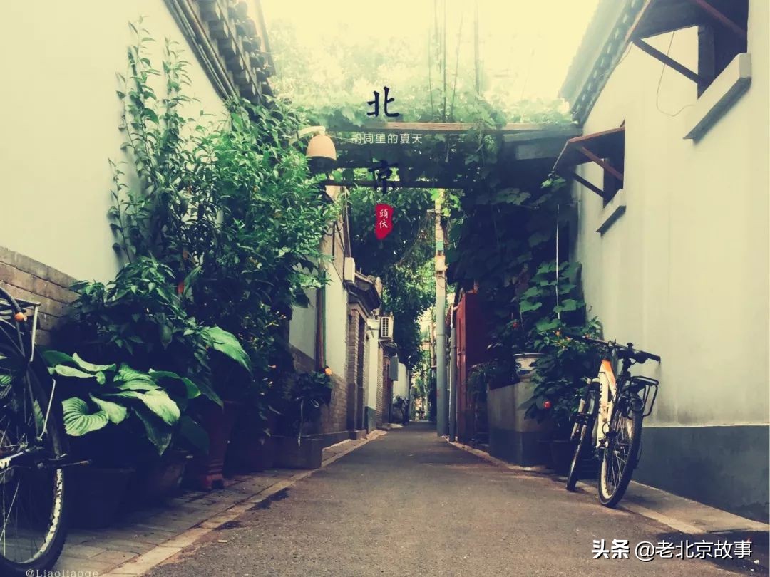 名人笔下的夏天段落,文人墨客笔下的北京