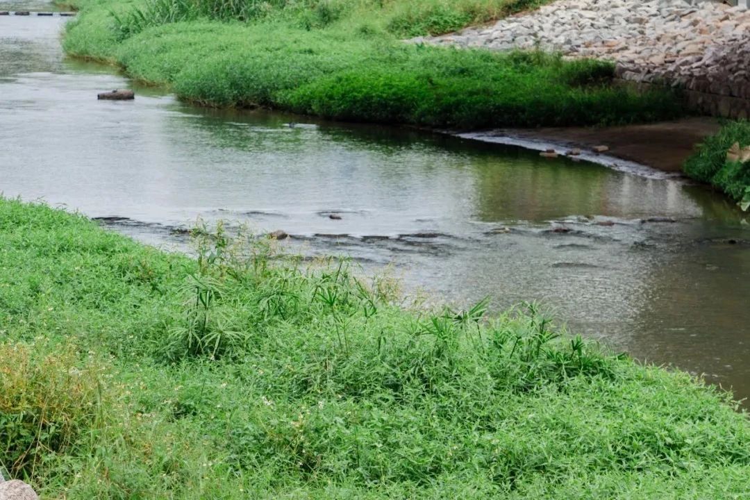 深圳看海去哪里比较好,深圳出地铁就看海的地方是哪里