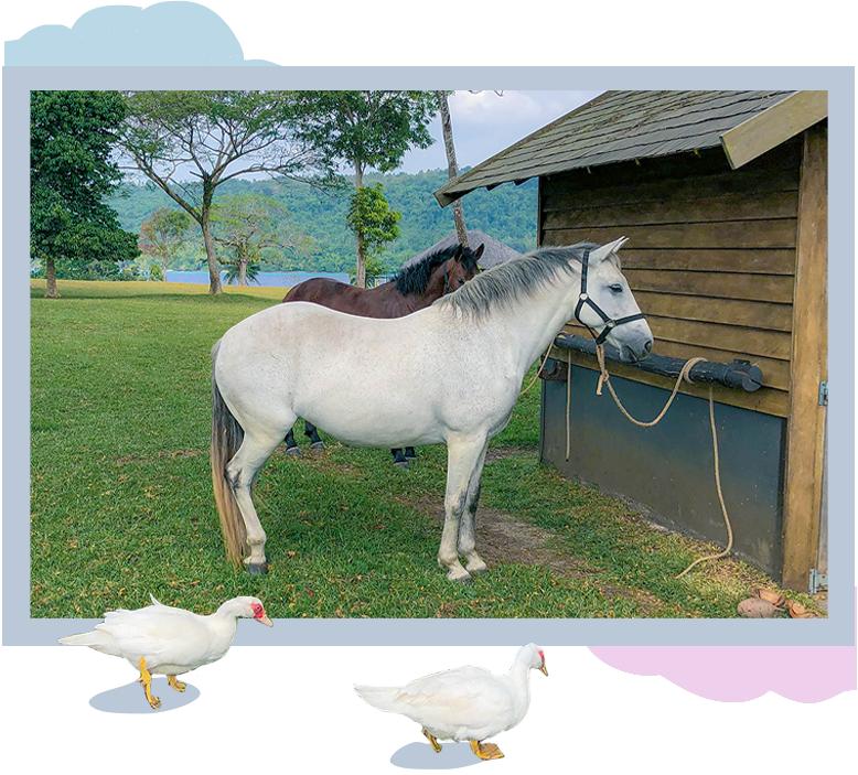 瓦努阿图陆地跳,瓦努阿图怎么玩