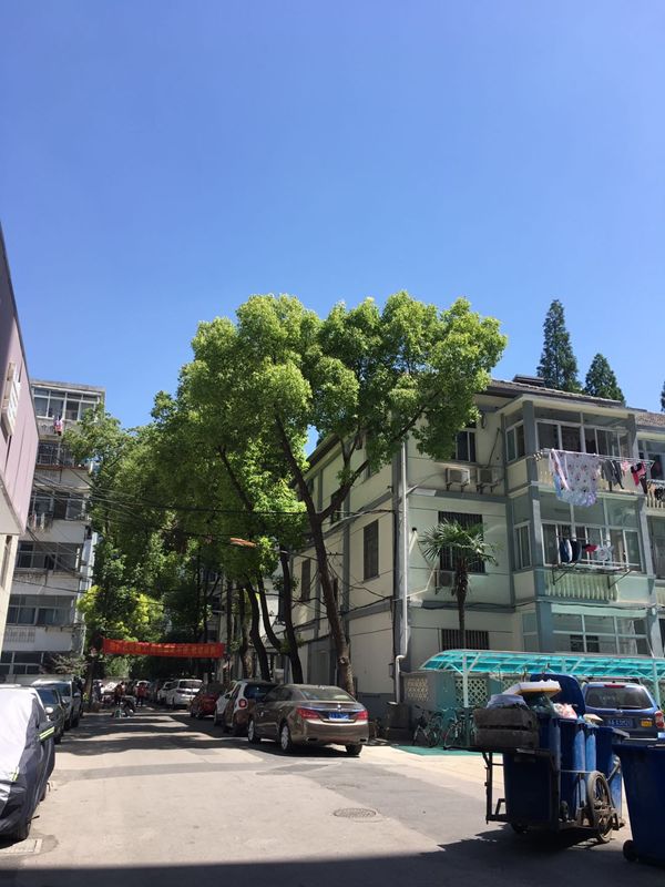 一路之隔房价相差8万多,一路之隔的房价相差几十万