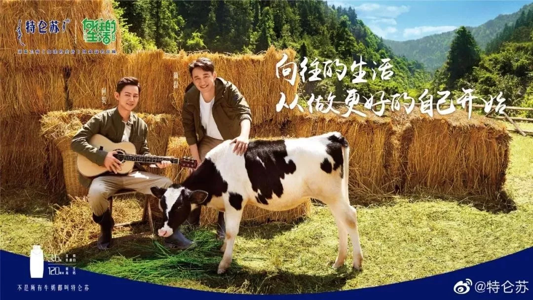 那些与综N代深度*绑捆**的金主们，都图啥？