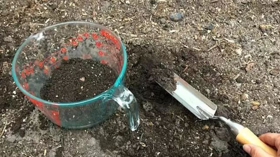 如何检测土壤的ph具体方法,如何不用ph试纸判断土壤的酸碱性