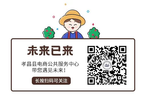 【电商资讯】电商服务站“站长带货”站站有为......