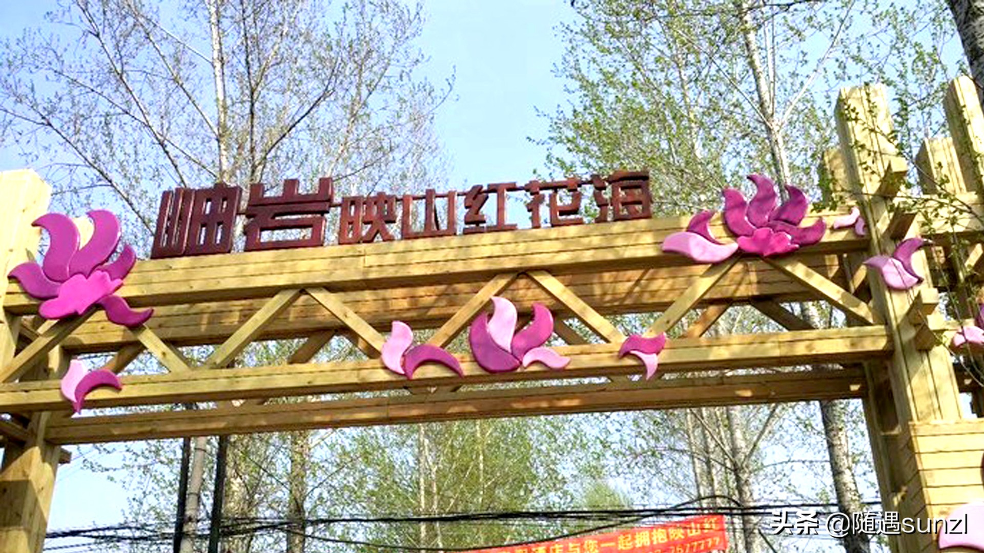 岫岩黄岭子映山红景区简介,岫岩开映山红在哪个地方