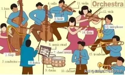 36张图记住所有生活英语单词,33张图记住3500词