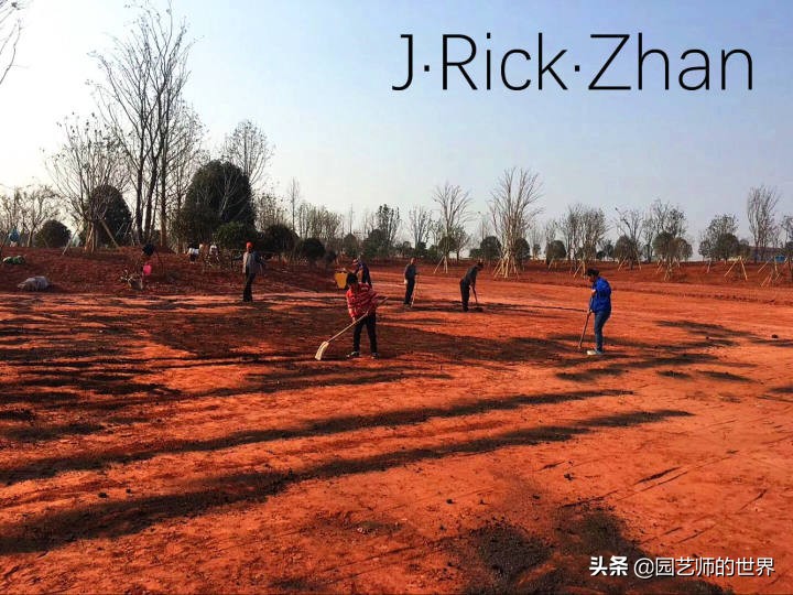 适合北方庭院种植的低矮草坪,家庭庭院怎样混搭种植草坪和蔬菜