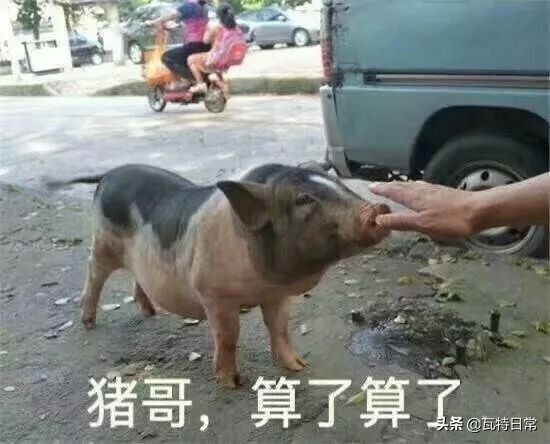 黑人牙膏、印度神油…你被这些伪造户籍的特产骗过吗?