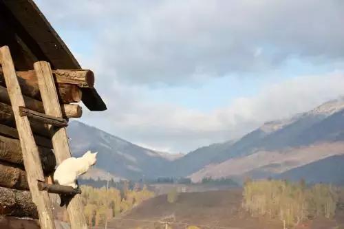 中国国家地理十大最美秋色,寻找中国最美自驾游