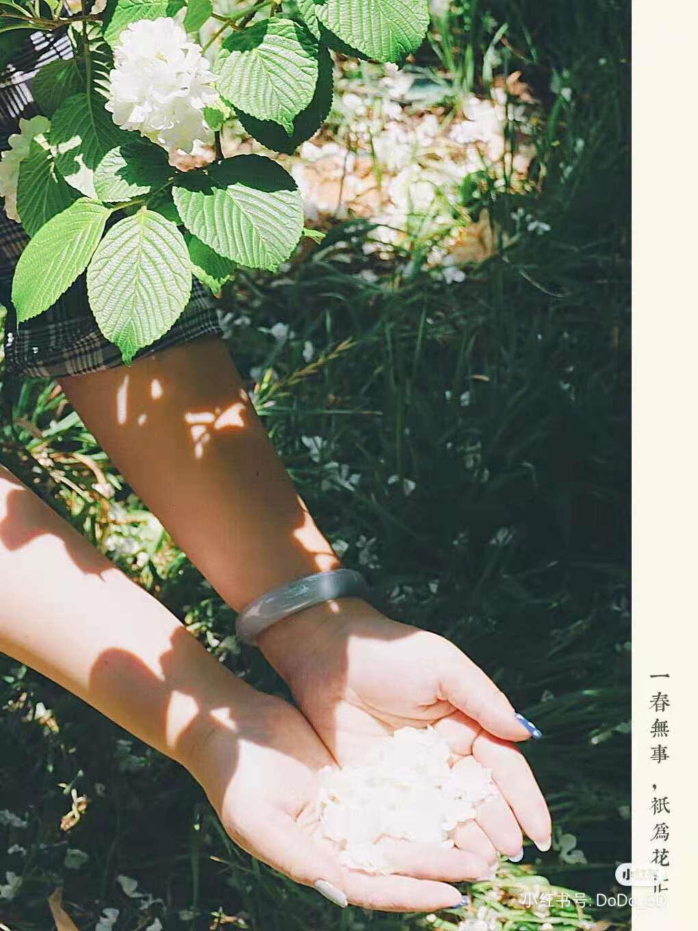 昆明春天赏花航拍,昆明添一赏花打卡点