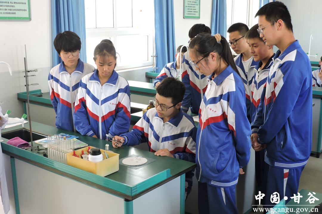 办好人民满意的教育——“甘谷教育”初探