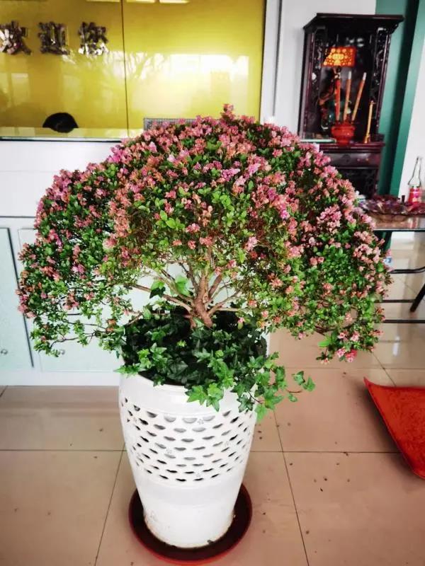 万喜开网店后续,万喜庆典