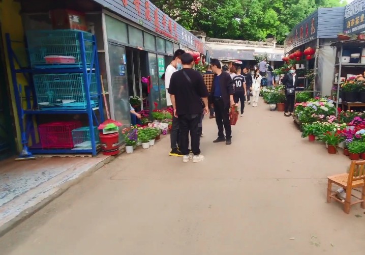 <html>
<head><title>502BadGateway</title></head>
<body>
<center><h1>502BadGateway</h1></center>
<hr><center>nginx</center>
</body>
</html>
<!--apaddingtodisableMSIEandChromefriendlyerrorpage-->
<!--apaddingtodisableMSIEandChromefriendlyerrorpage-->
<!--apaddingtodisableMSIEandChromefriendlyerrorpage-->
<!--apaddingtodisableMSIEandChromefriendlyerrorpage-->
<!--apaddingtodisableMSIEandChromefriendlyerrorpage-->
<!--apaddingtodisableMSIEandChromefriendlyerrorpage-->
