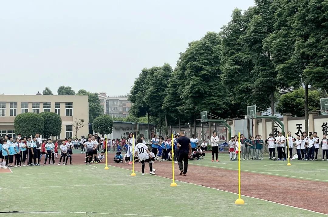 芳菲大地,芳菲地