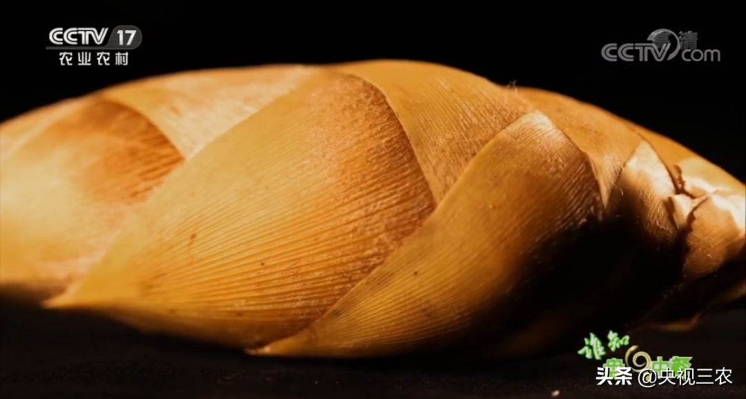 冬笋炒腊肉怎么处理去除涩味,湖南腊肉冬笋怎么做才不会有涩味