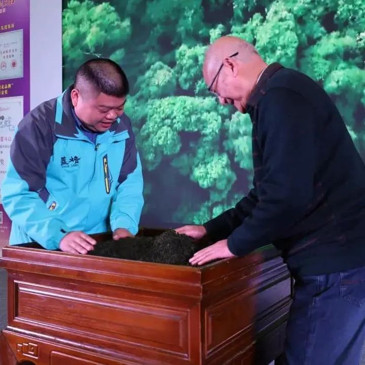 湖北茶展,湖北名茶馆直播间