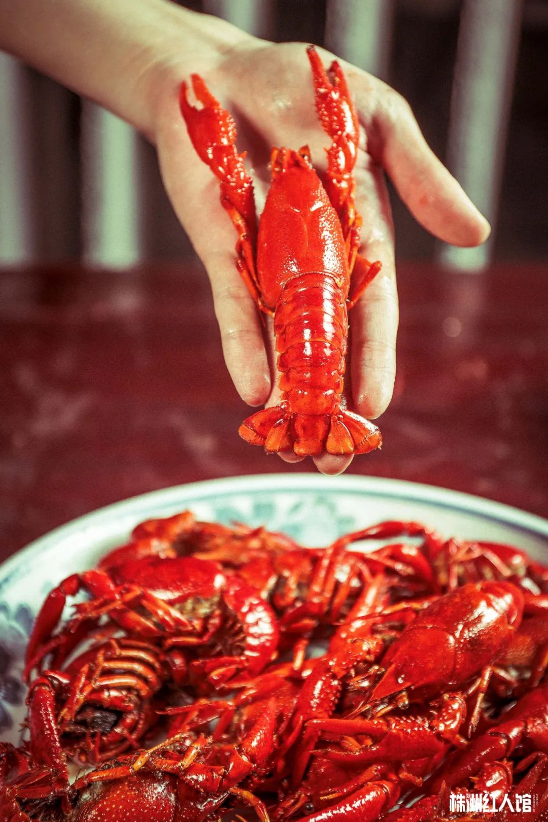 神经哥回归过程,神经哥原唱歌曲