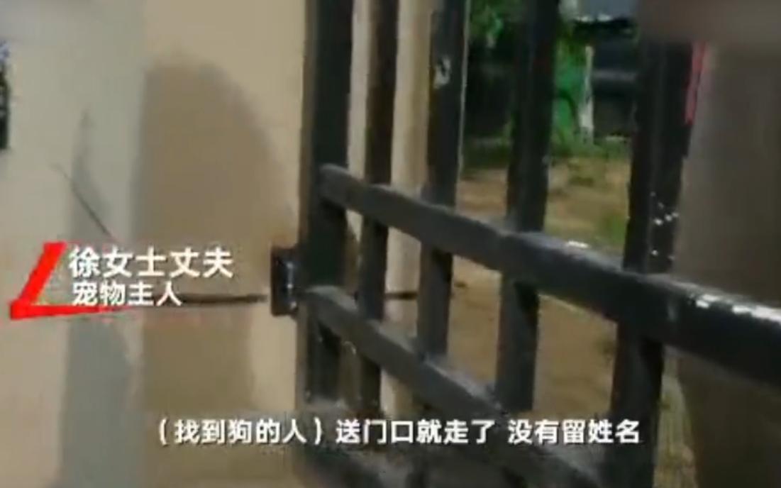 “寻狗赠房”系打印错误？北京寻狗赠房狗主人回应：因天黑没看就贴了，半夜接到三百个电话