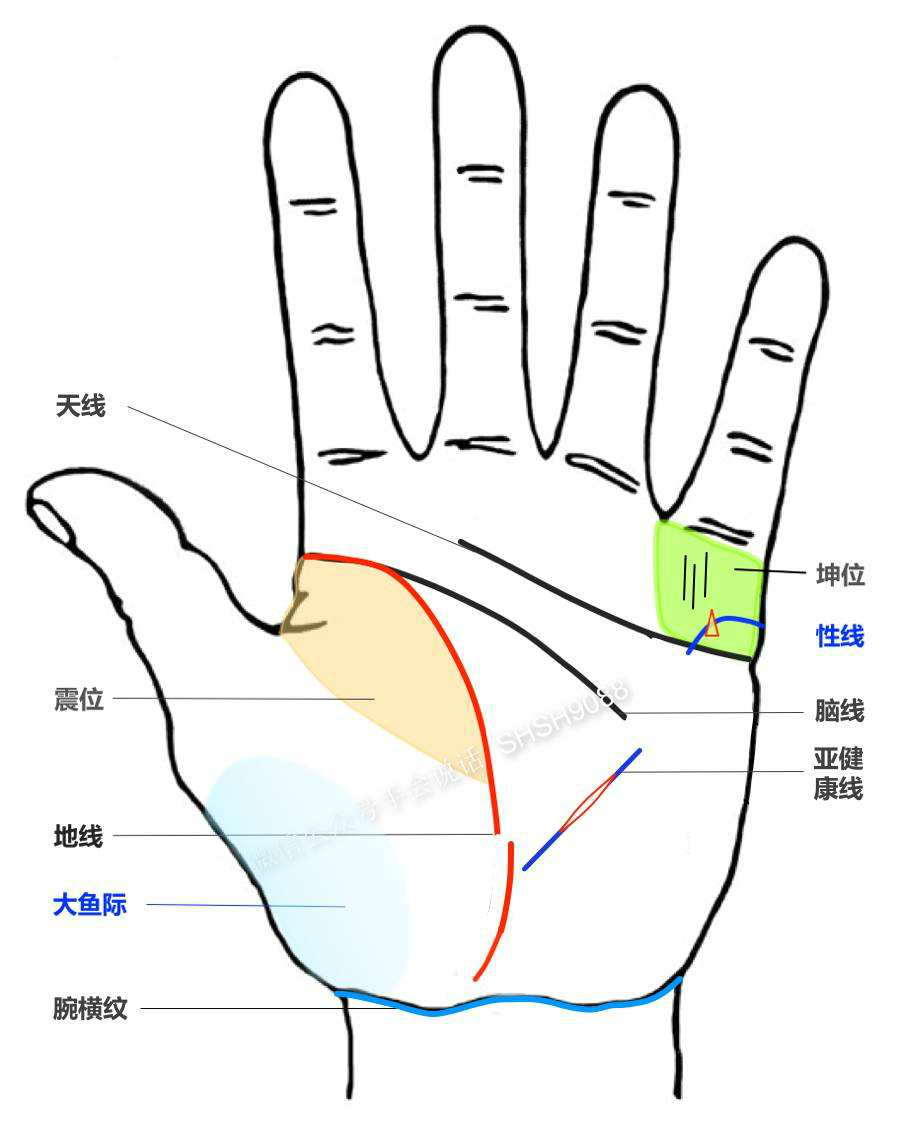 人身体里住着一条鱼,人身体上的鱼