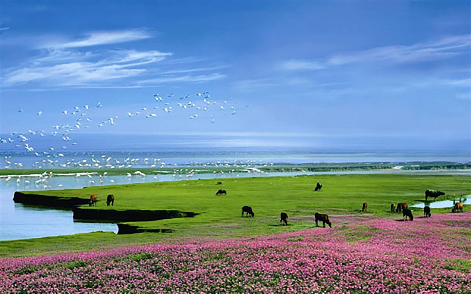 鄱阳湖中国最大淡水湖,鄱阳湖最大淡水湖
