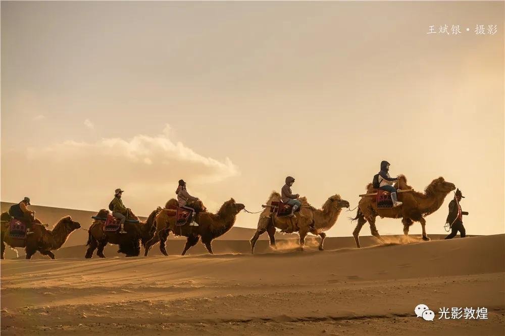 【敦煌新鲜事】月牙泉驼户穿胡服”牵骆驼服务游客