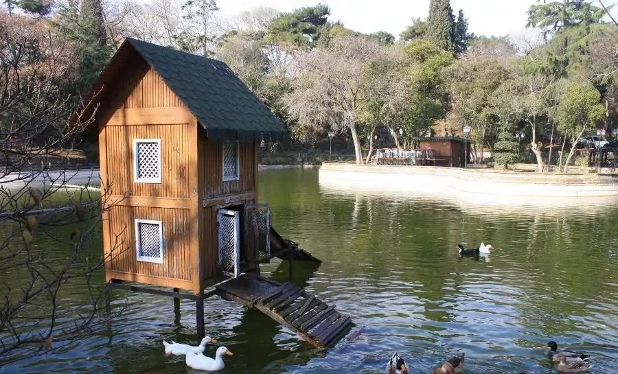 无聊时做这三件事你会越来越好,无聊时要做的十件事