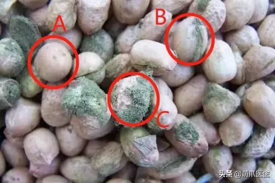 go猫粮吃了会黑下巴吗,go猫粮吃了拉黄水