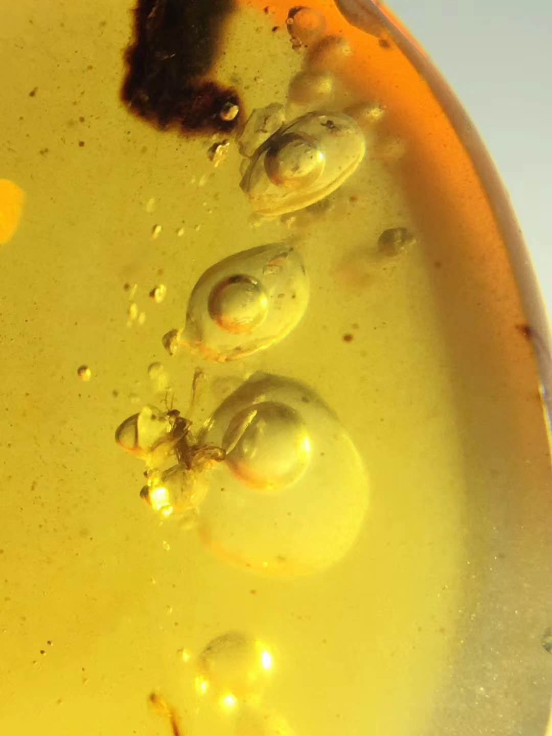 为什么要收藏玉,缅甸琥珀哪种最值得收藏