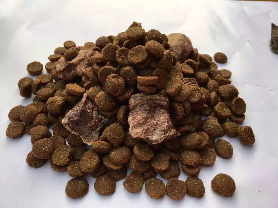 宠物食品发展特征及问题分析,宠物食品需要具备哪些要求