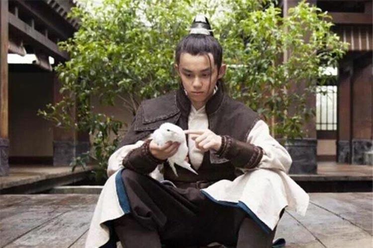 诺基亚c系列老手机,诺基亚c系列所有手机