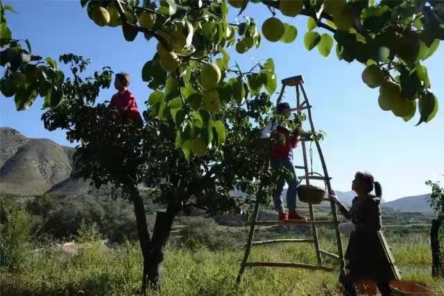 同河谷，英雄谷，正气谷丨李旭丰