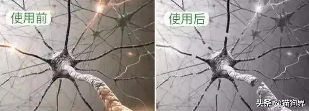 螨虫的小红疙瘩如何消退,家里有螨虫过敏者