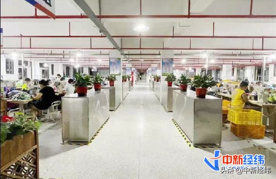 疫情下晋江鞋厂现状,疫情下莆田鞋企现状