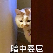 新华联集团500强,新华联集团前景怎么样