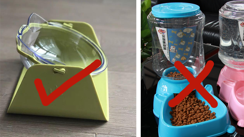 猫咪黑下巴会传染给别的猫吗,猫咪黑下巴是什么原因引起