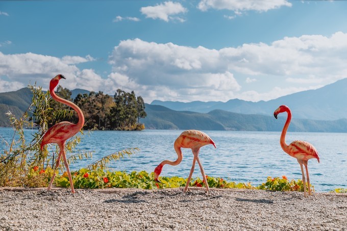 消失的地平线上的“香巴拉”和“女儿国”（二）