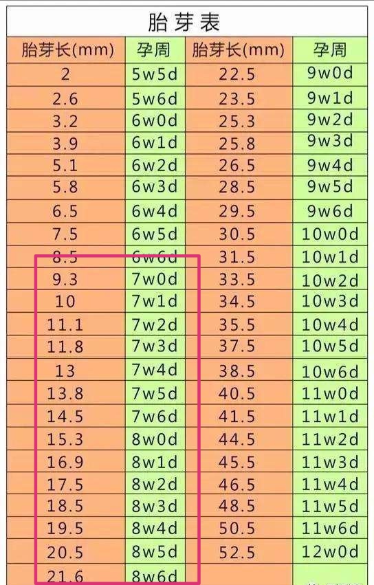 孕早期产检都有哪些项目,孕早期产检都做哪些项目