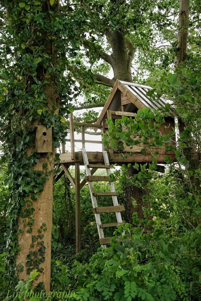 荷兰见闻,荷兰旅居见闻