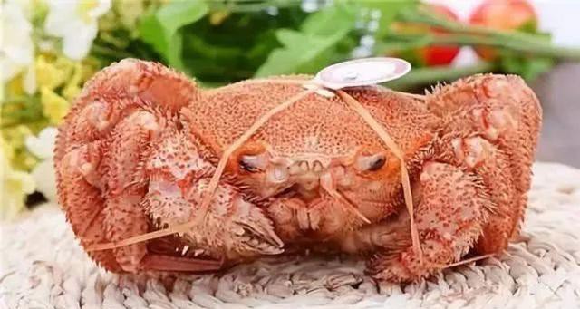 哪种海鲜的味道最鲜美,世界上最鲜美的海鲜